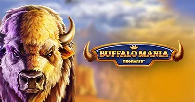 Buffalo Mania