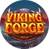 Viking Forge